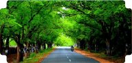 route